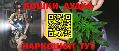 гидра Будённовск