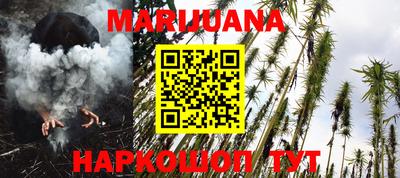 гидра Будённовск