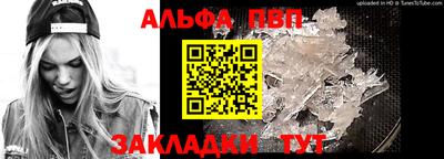 гидра Будённовск